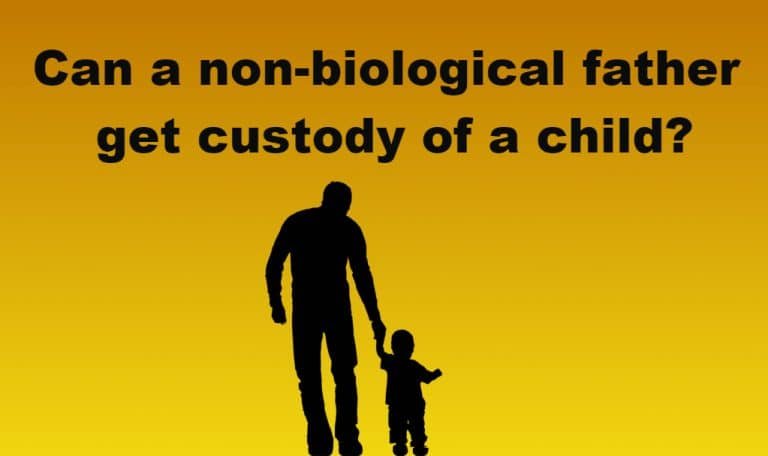 non biological father and child custody